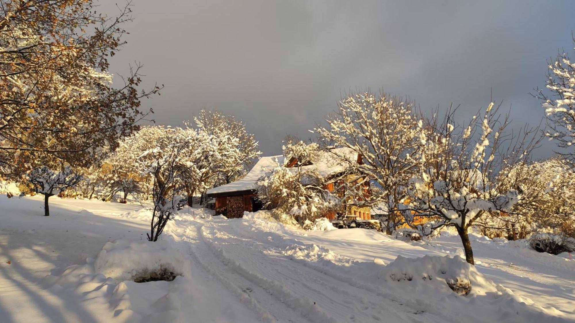 Chalet Mounette Ski Sauna Lac Embrun Puy-Sanieres Zewnętrze zdjęcie